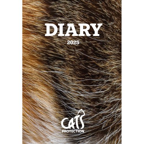 Cats Protection Calendar 2025 Uk 