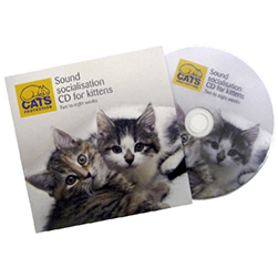 Kitten socialisation cd