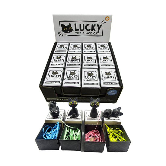 Lucky the black cat charm in a box