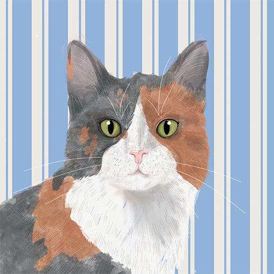 Tortoiseshell cat card