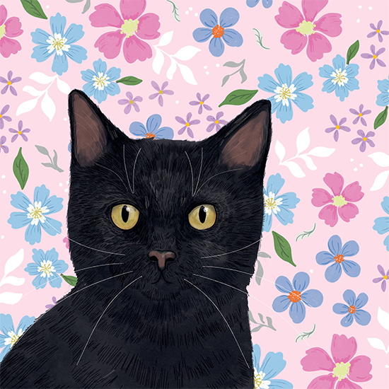 Black cat eyes card